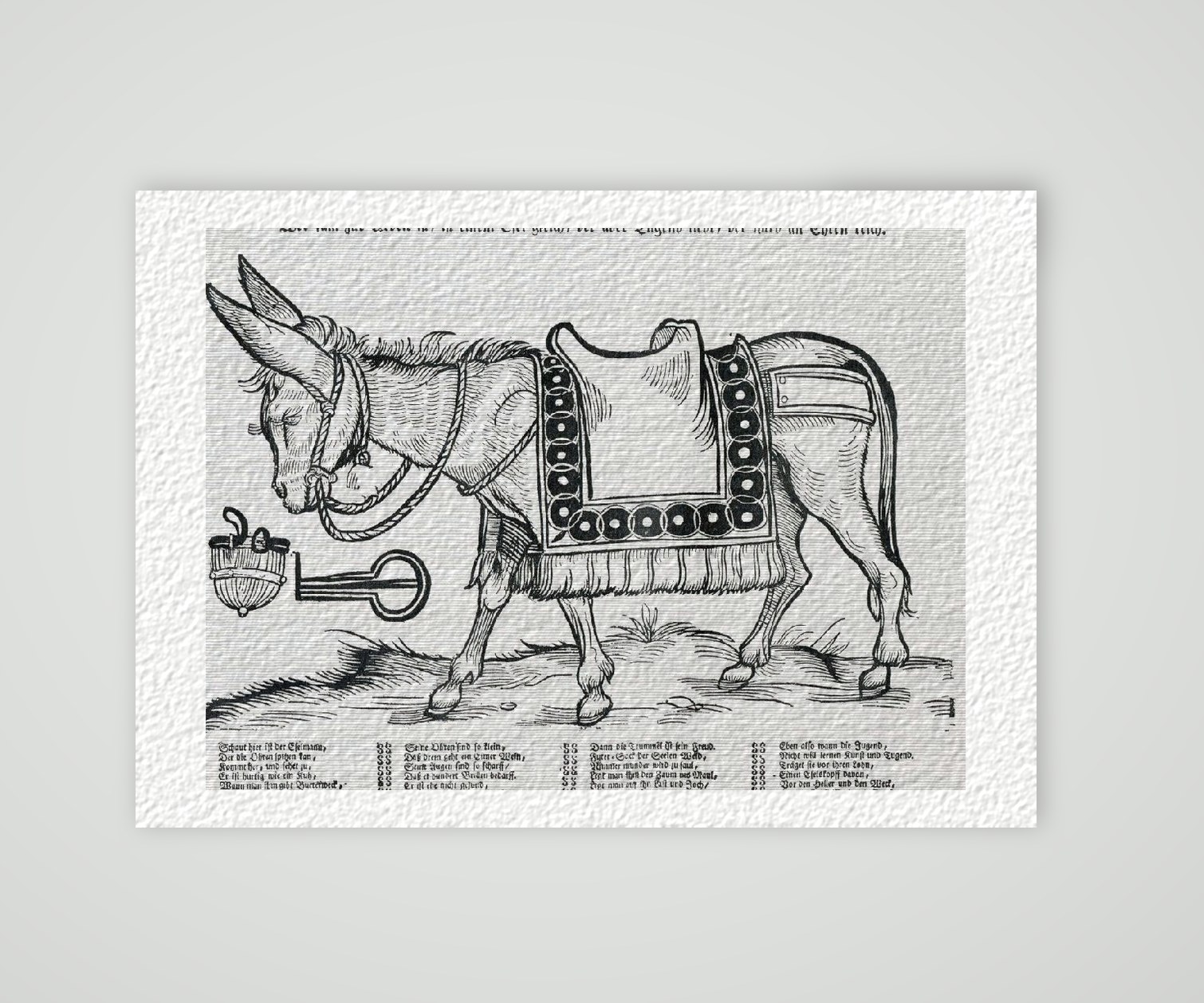 Esel – Historischer Holzschnitt 17. Jh. als Kunstdruck – auf Hahnemühle-Büttenpapier