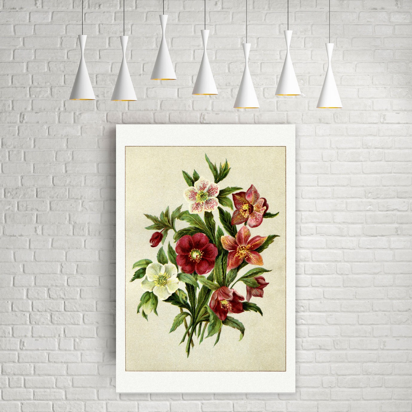 Christrosen – Helleborus-Hybriden – Farblithografie, Leinwanddruck auf Holzkeilrahmen an der Wand