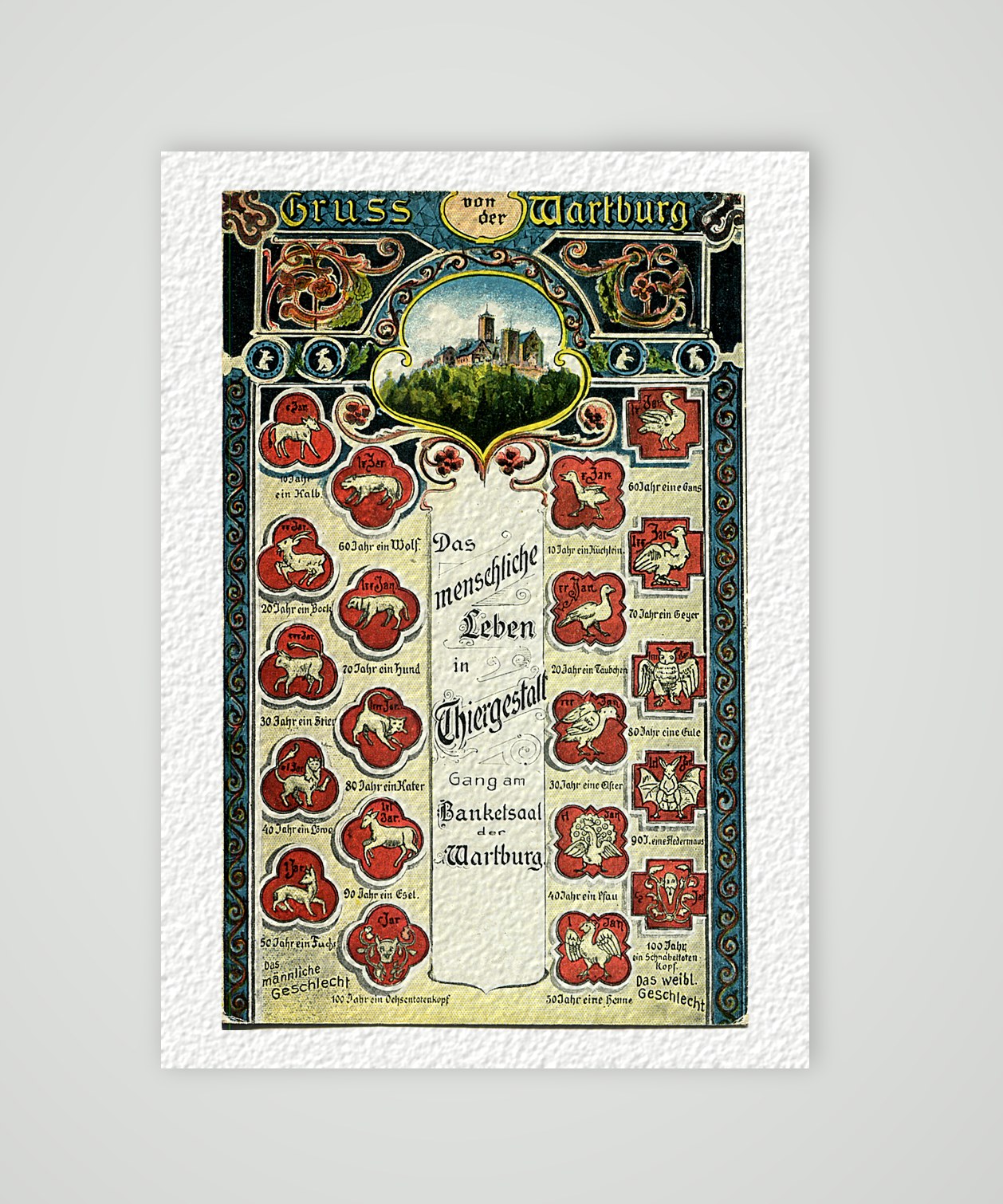Gruß von der Wartburg – Das menschliche Leben in Tiergestalt – Ansichtskarte, Kunstdruck auf Hahnemühle-Büttenpapier