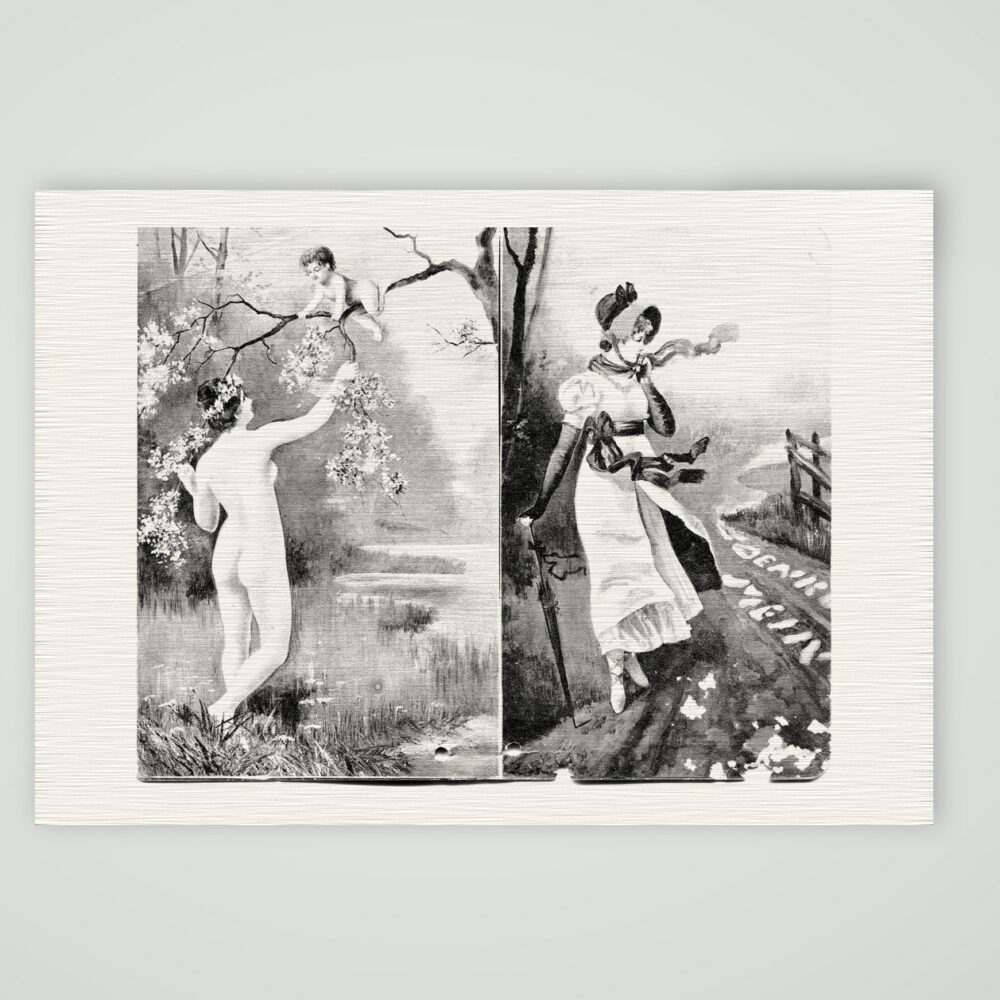 Zweigeteilte Jugendstil-Postkarte mit Frau unter blühendem Zweig und Dame mit Schirm, um 1900, Kunstdruck auf Leinenpapier
