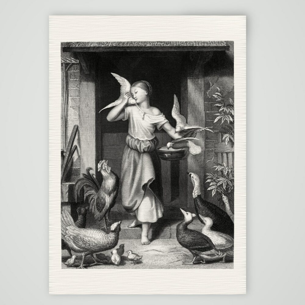 Der Morgen – Mädchen beim Füttern der Tauben – Stahlstich, Kunstdruck auf Leinenpapier