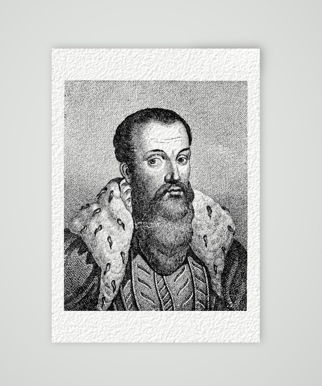 Moritz von Sachsen im Hermelinmantel – Holzstich, Kunstdruck auf Hahnemühle-Büttenpapier