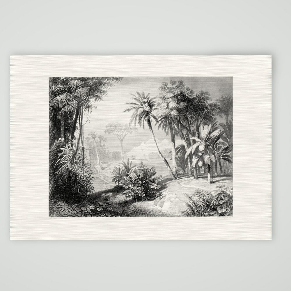 Tropische Landschaft mit Palmen – Stahlstich, Kunstdruck auf Leinenpapier