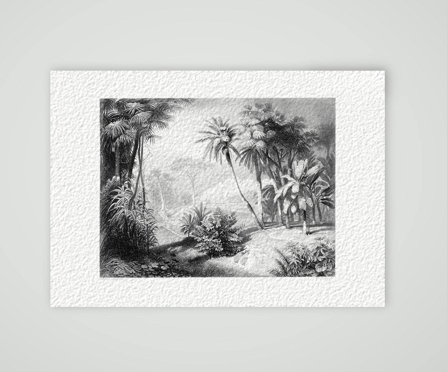Tropische Landschaft mit Palmen – Stahlstich, Kunstdruck auf Hahnemühle-Büttenpapier