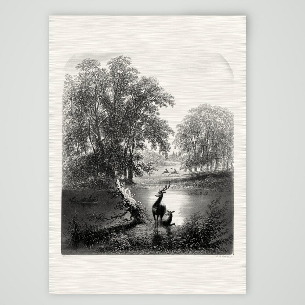 Die Kartause – Hirsche am See – Stahlstich, Kunstdruck auf Leinenpapier