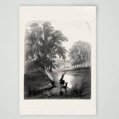 Die Kartause – Hirsche am See – Stahlstich, Kunstdruck auf Leinenpapier