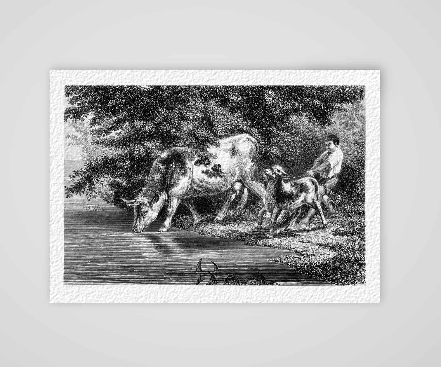 Die Tränke – Stahlstich, Kunstdruck auf Hahnemühle-Büttenpapier