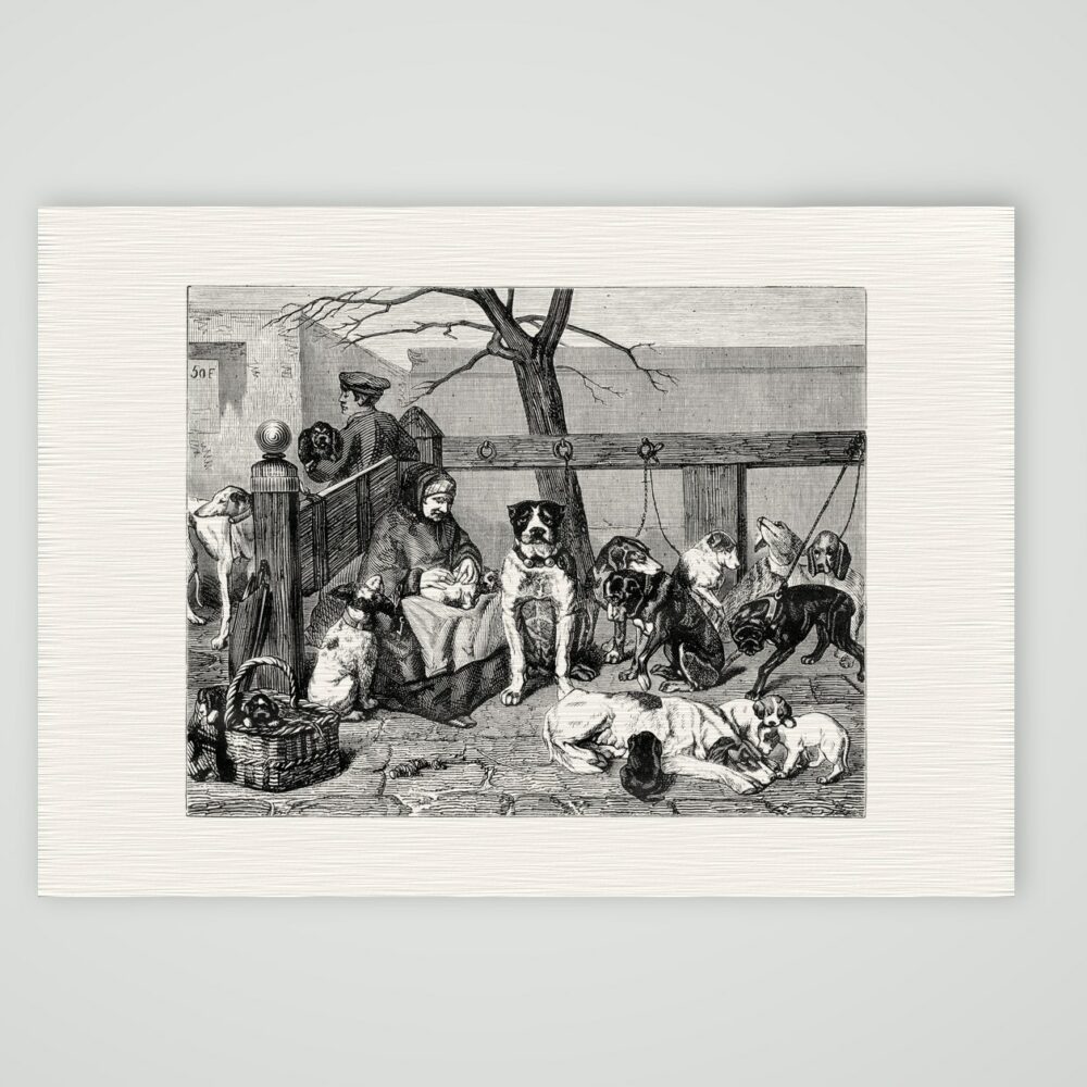 Der Hundemarkt – Stahlstich, Kunstdruck auf Leinenpapier