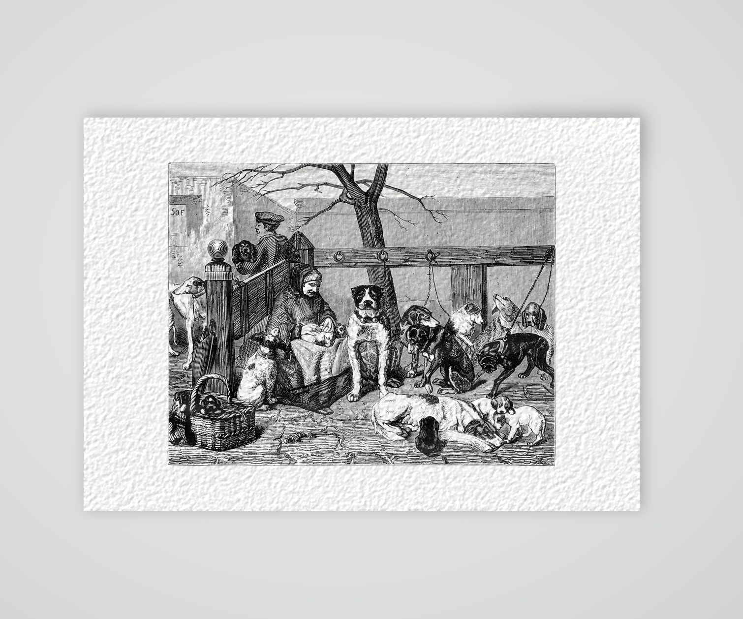 Der Hundemarkt – Stahlstich, Kunstdruck auf Hahnemühle-Büttenpapier