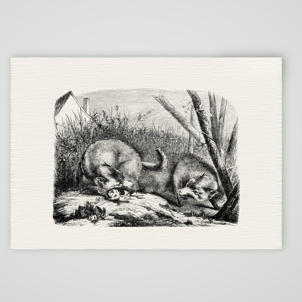 Füchse mit ihrer Beute – Stahlstich, Kunstdruck auf Leinenpapier