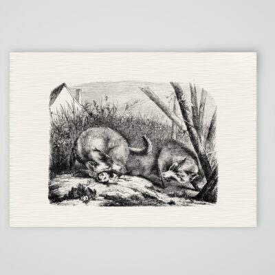 Füchse mit ihrer Beute – Stahlstich, Kunstdruck auf Leinenpapier