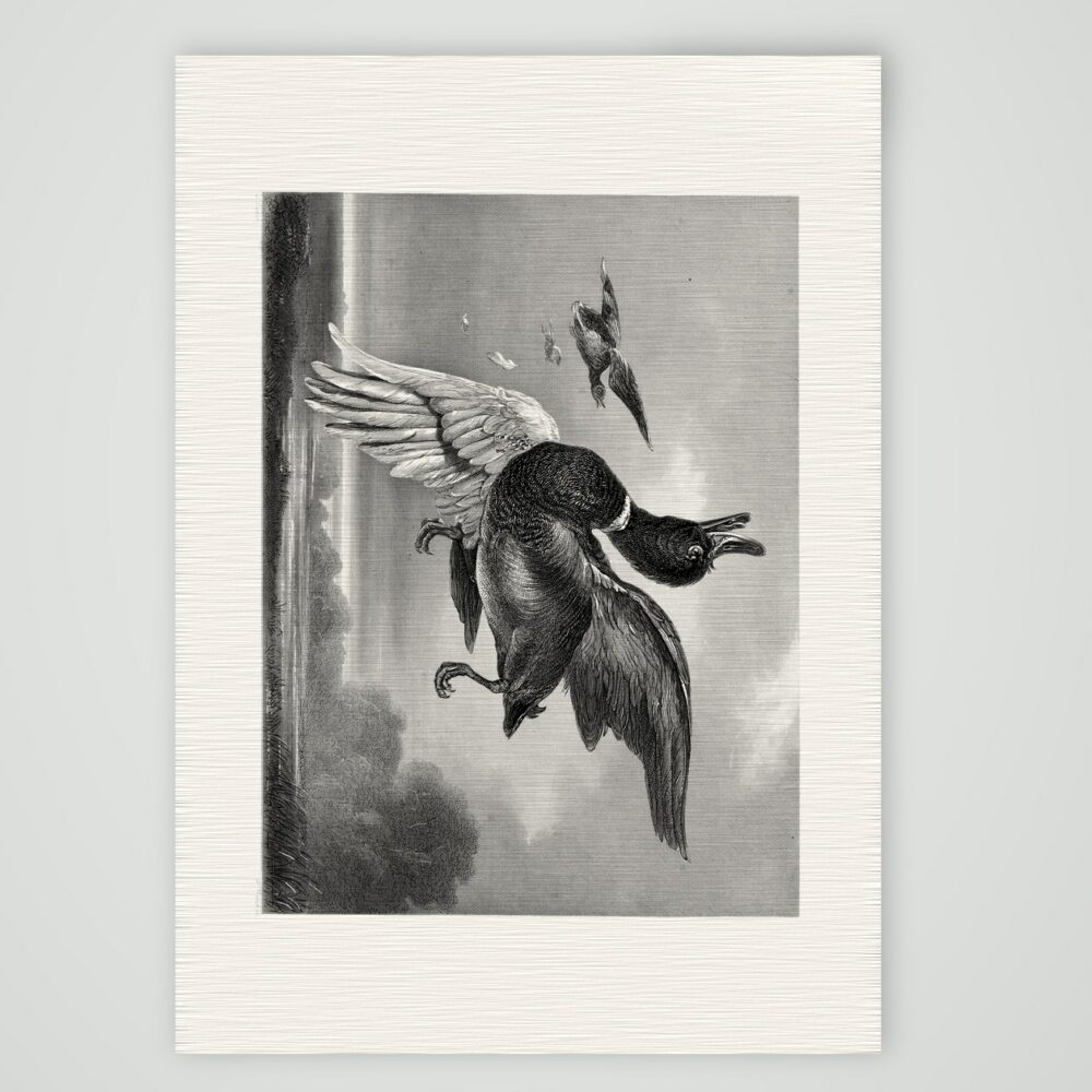 Die angeschossene Ente – Stahlstich, Kunstdruck auf Leinenpapier