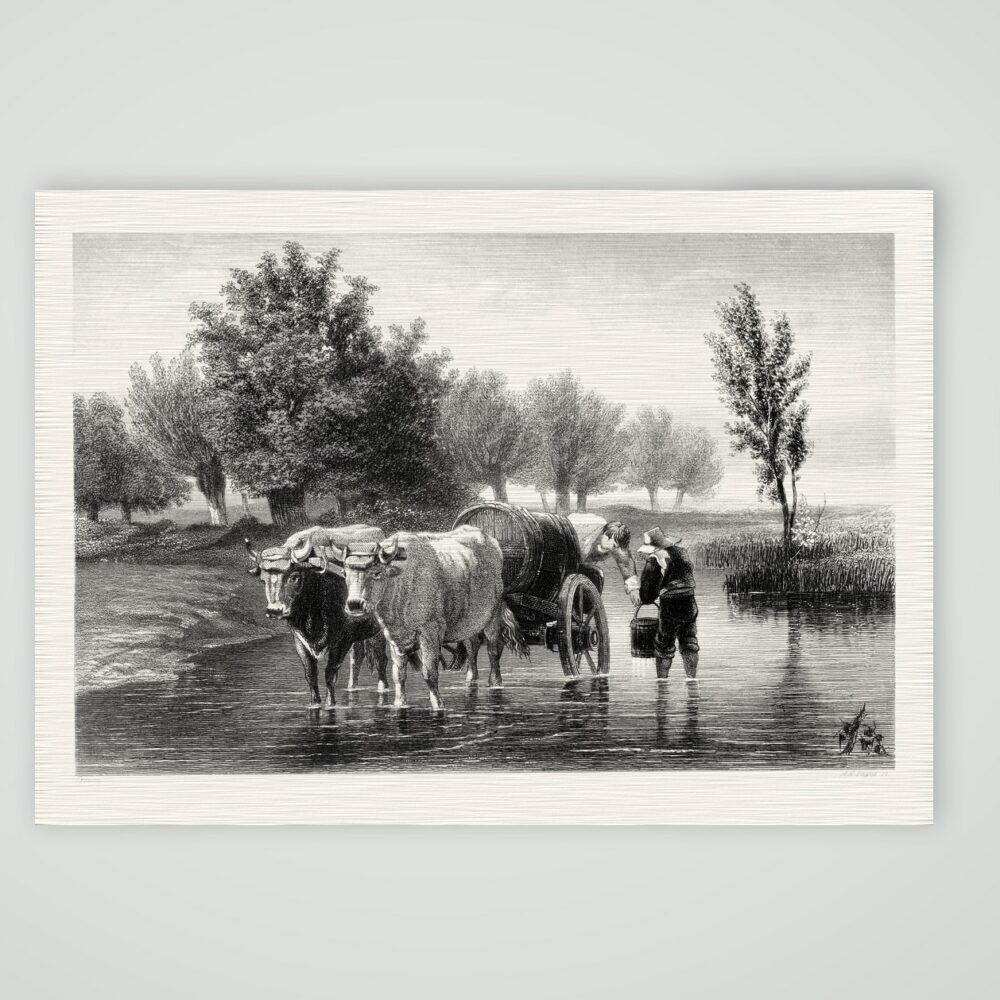Ein Gärtnerkarren – Stahlstich, Kunstdruck auf Leinenpapier