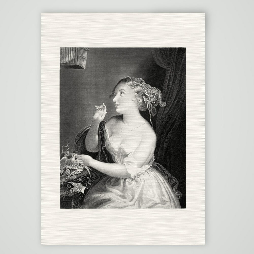 Das Täubchen von Amsterdam – Stahlstich, Kunstdruck auf Leinenpapier