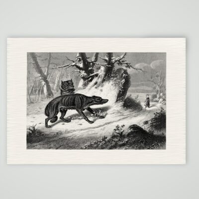 Der Wolfspass – Stahlstich, Kunstdruck auf Leinenpapier