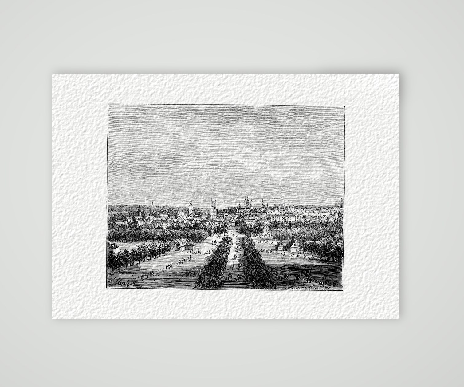 Münster, Blick über die Promenade – Holzstich, Kunstdruck auf Hahnemühle-Büttenpapier